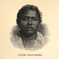 Coolie half-breed
