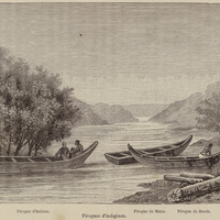 Pirogues d'indigénes