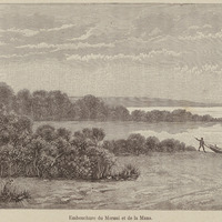 Embouchure du Maroni et de la Mana