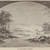 Le moyen Maroni à Paramaca