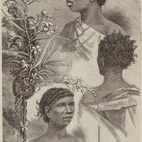 Type Bonis