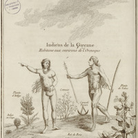 Homme & femme, Indiens de la Guyane, voifins de l'Orenoque, avec la plante d'indigo, le cotonier &…