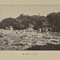 Le port et la ville de Para