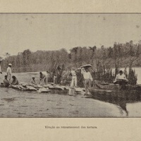 Dépendances d'une Fazenda dans l'ile Caviana