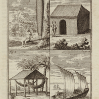 Carbet, case couverte de branches de palmes jusques à terre et couleuvre d'environ 5 pieds de long