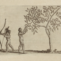 Des Prumes d'Icaque