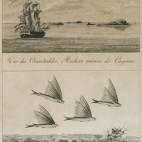 Vue des Connétables, Rochers voisins de Cayenne & Le Muge volant, poisson [planche 3]