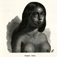 Femme arara