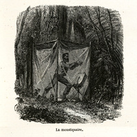 La moustiquaire