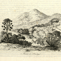 Fazenda de …