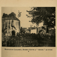 Habitation Caradeux. Ruines d'étuve à « terrer » le sucre