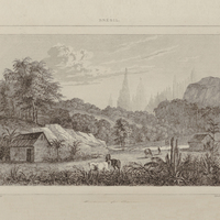 Montagne des orgues