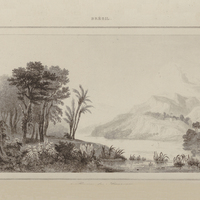 Rivière des Amazones
