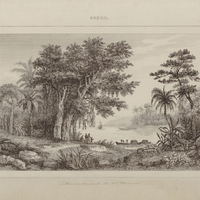 Lac sur les bords de l'Amazone