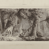 Forêt ouverte le long du Mucuri
