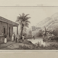 Plantation