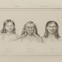 Miranha, Muxuruna, Mura