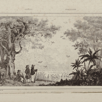 Chasse aux oiseaux sur le bords du Rio San Francisco