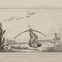 Cabôclos, Indiens civilisés
