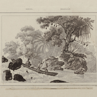 Navigation du Rio Dos Ilhéos