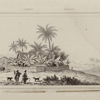 Maison d'un planteur Brésilien