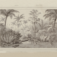 Navigation sur le Rio-Doce