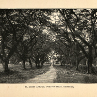 St. James avenue, Port-of-Spain, Trinidad