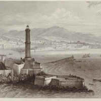 Gènes