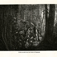 Prière au soleil dans les forêts de l'Amazone