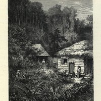 Concession de défrichement sur le Maroni