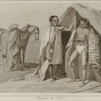 Patagons du Nord