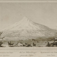 Vue de Chimborazo prise de Tapia