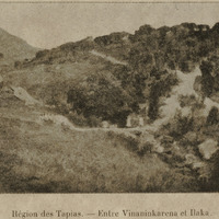 Région des Tapias : Entre Vinaninkarena et Ilaka