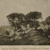 Région des Tapias : Entre Vinaninkarena et Ilaka
