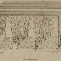 Encabanage