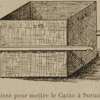 Caisse pour mettre le Cacao à Surinam