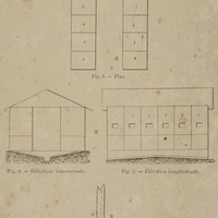 Case à fermenter de Surinam