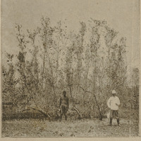 L'afiafy a Nosy-Kibondro