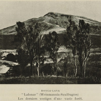Bonga-Lava
