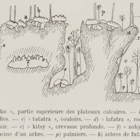 Coupe schématique