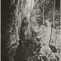 Dans la forêt de l'Antsingry : un couloir