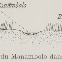 Coupe schématique du Manambolo dans la plaine Sakalave