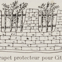 Parapet protecteur pour Citrus