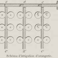 Schéma d'irrigation d'orangerie