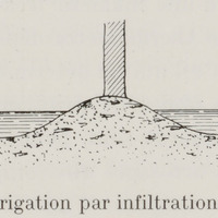 Irrigation par infiltration