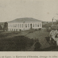 Fazenda de Cassu - Environs d'Uberaba, élevage du zébu de race