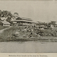 Habitation d'une fazenda sur les rives du Trombetas