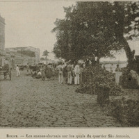 Recife - Les ananas-abacaxis sur les quais du quartier Sao Antonio