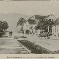 Santa Catharina - Une rue escentrique de Joinville
