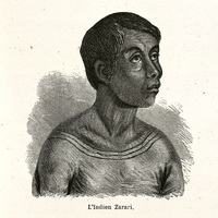 L'indien Zarari